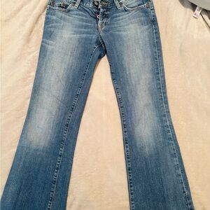 American Eagle Outfitters Light Blue Flare Jeans